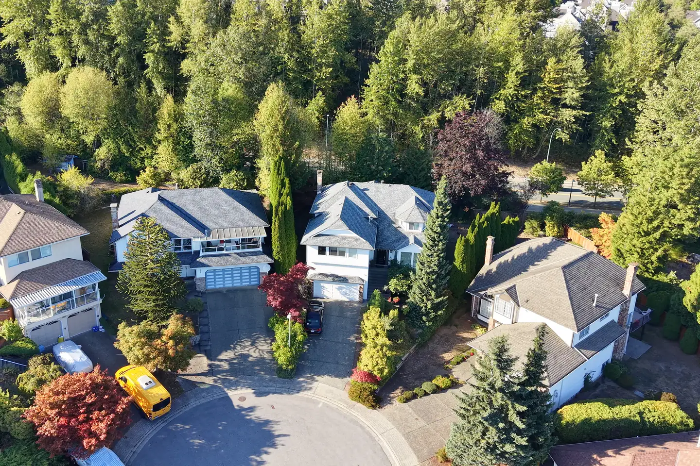 A cul-de-sac of detached homes backing onto forest, in late-afternoon sun