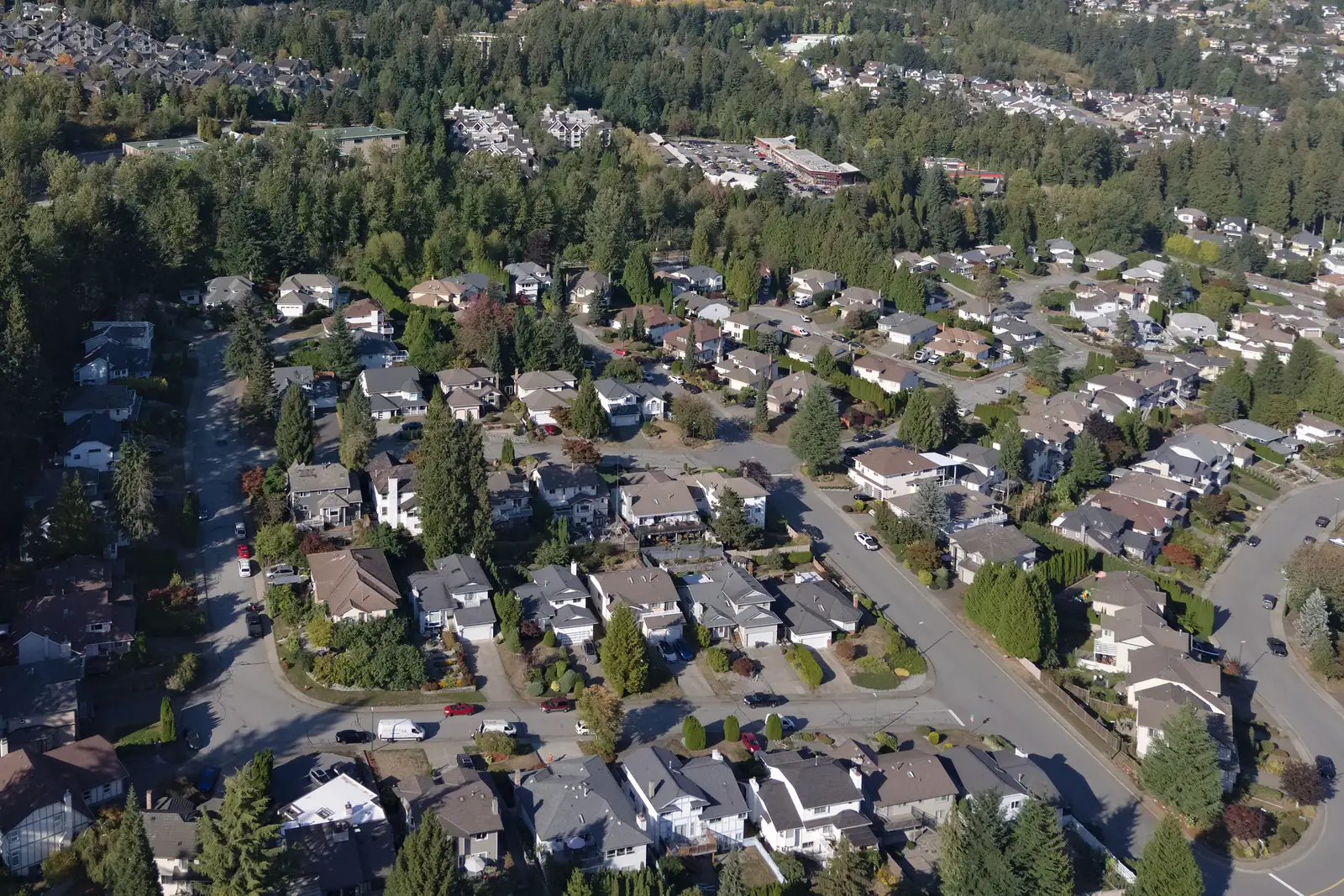 Streets of detached homes surrounded by forest on a sunny day